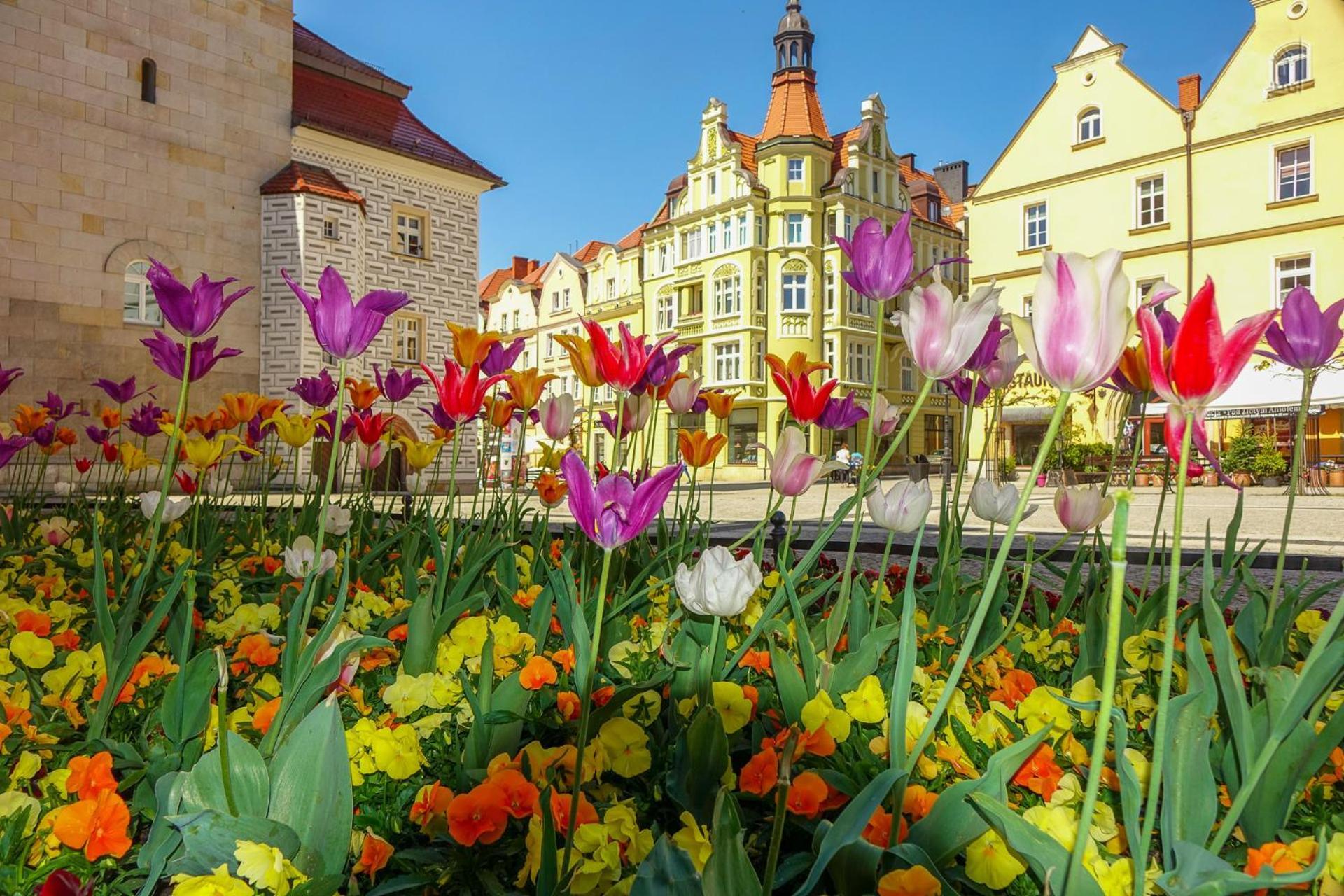 Apartament Przy Starowce - Zoni Boleslawiec  Exteriér fotografie